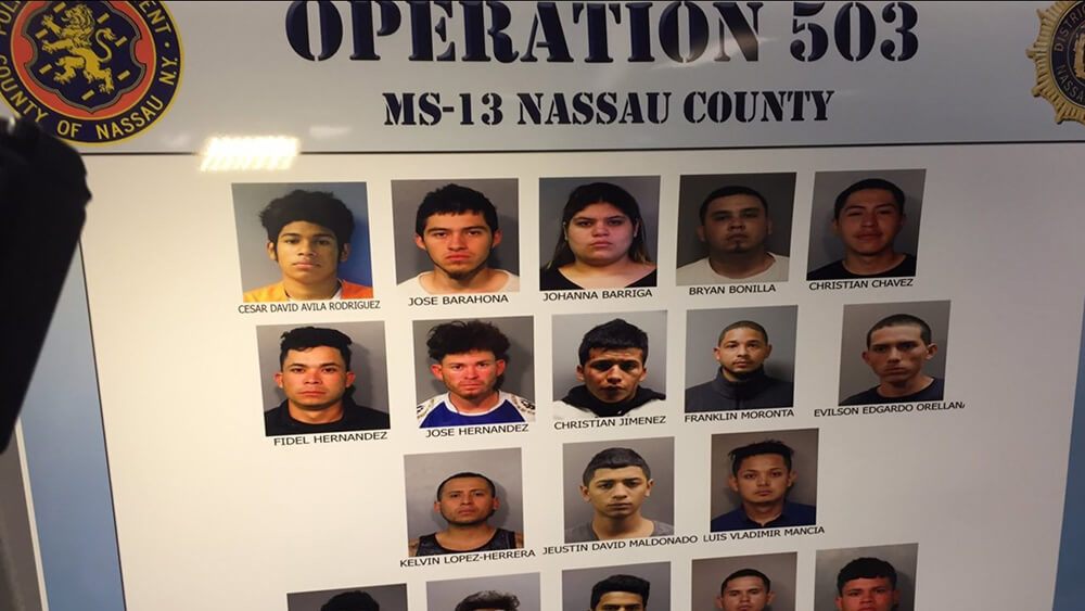 El Nacimiento De La Ms13 En Nueva York Insight Crime