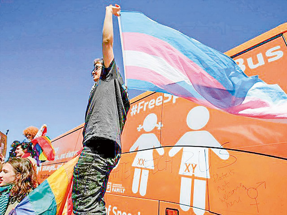 New York NJ Model Curriculum article